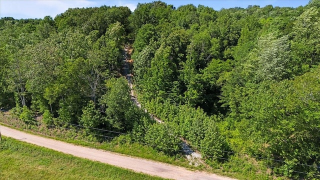 4040 Jack Saunders Rd, Waverly, TN 37185 - photo 4