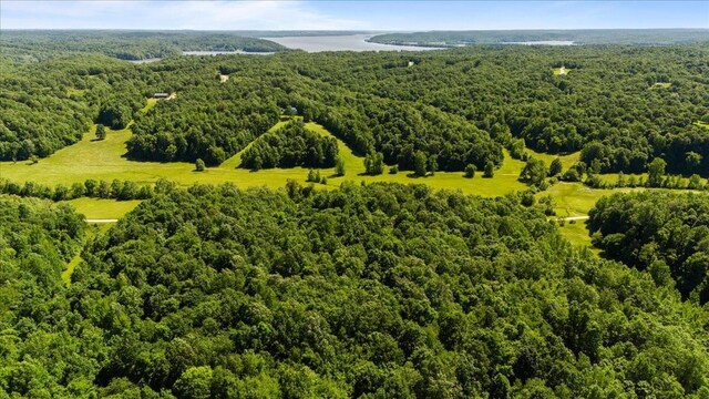 4040 Jack Saunders Rd, Waverly, TN 37185 - photo 10