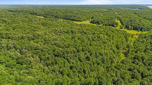 4040 Jack Saunders Rd, Waverly, TN 37185 - photo 28