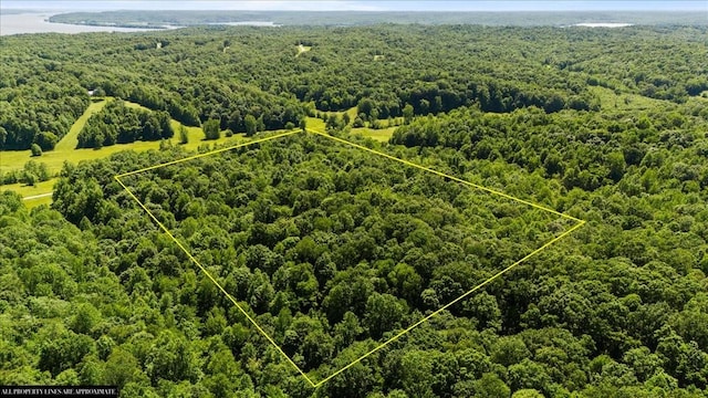 4040 Jack Saunders Rd, Waverly, TN 37185 - photo 22
