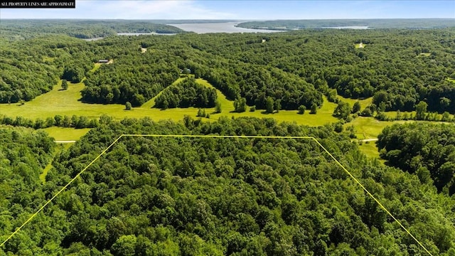 4040 Jack Saunders Rd, Waverly, TN 37185 - photo 6