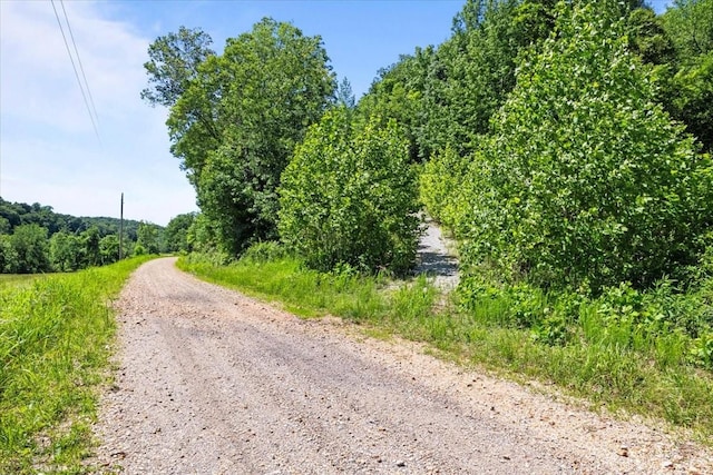 4040 Jack Saunders Rd, Waverly, TN 37185 - photo 7