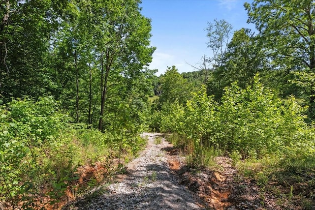 4040 Jack Saunders Rd, Waverly, TN 37185 - photo 3