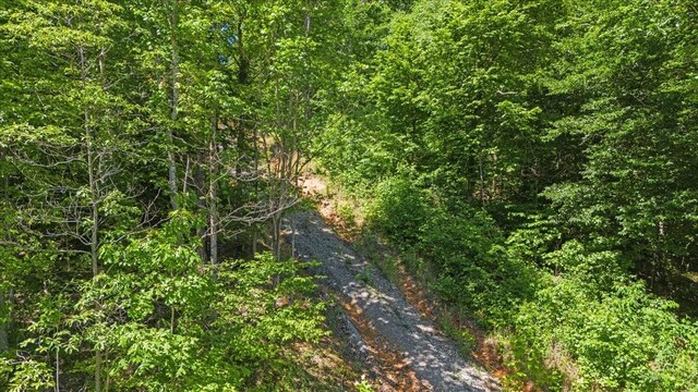 4040 Jack Saunders Rd, Waverly, TN 37185 - photo 15