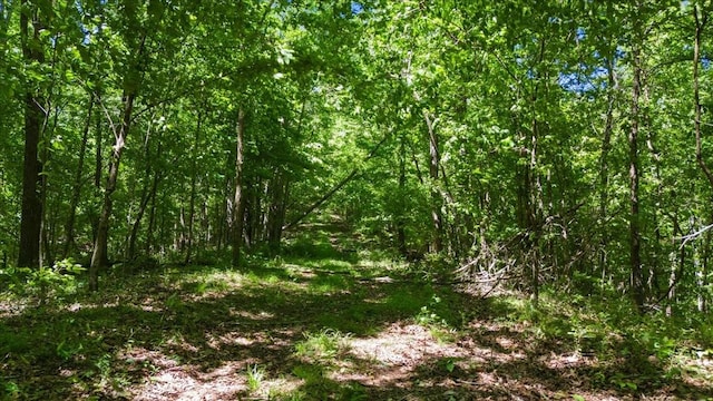 4040 Jack Saunders Rd, Waverly, TN 37185 - photo 9