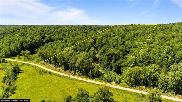 4040 Jack Saunders Rd, Waverly, TN 37185 - photo 25