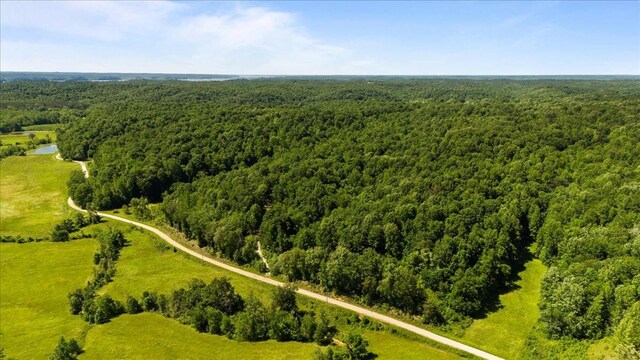 4040 Jack Saunders Rd, Waverly, TN 37185 - photo 23