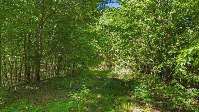 4040 Jack Saunders Rd, Waverly, TN 37185 - photo 17
