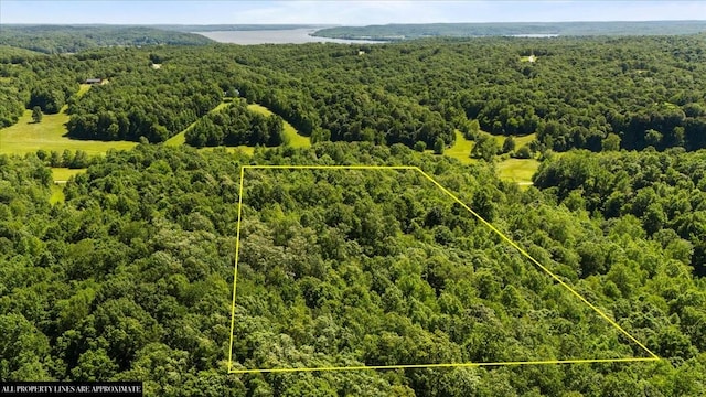4040 Jack Saunders Rd, Waverly, TN 37185 - photo 5