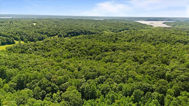 4040 Jack Saunders Rd, Waverly, TN 37185 - photo 20