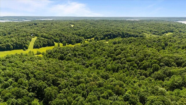 4040 Jack Saunders Rd, Waverly, TN 37185 - photo 19