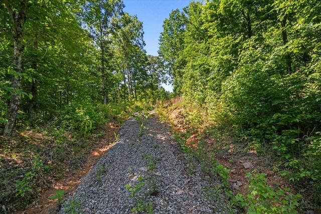 4040 Jack Saunders Rd, Waverly, TN 37185 - photo 8