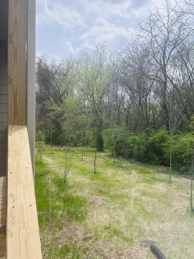 5930 Carl Pl, Nashville, TN 37209 - view of yard