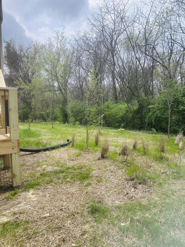 5930 Carl Pl, Nashville, TN 37209 - view of yard