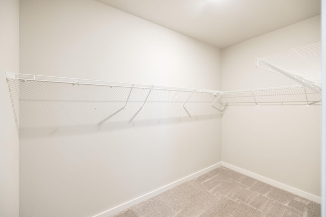 441 Golden Meadow Ln, Hendersonville, TN 37075 - spacious closet with light colored carpet