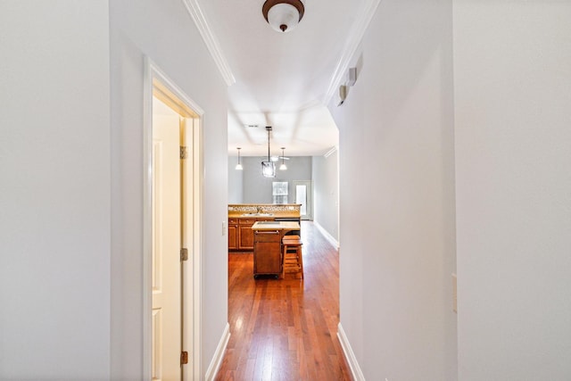 735 Tulip Grove Rd Unit 325, Hermitage, TN 37076 - hallway featuring dark wood-style floors, crown molding, and baseboards