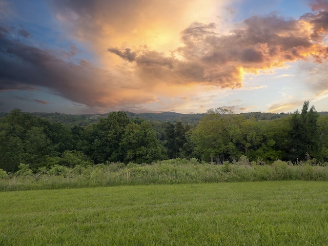 0 Overlook Ln, Shelbyville, TN 37160 - photo 1