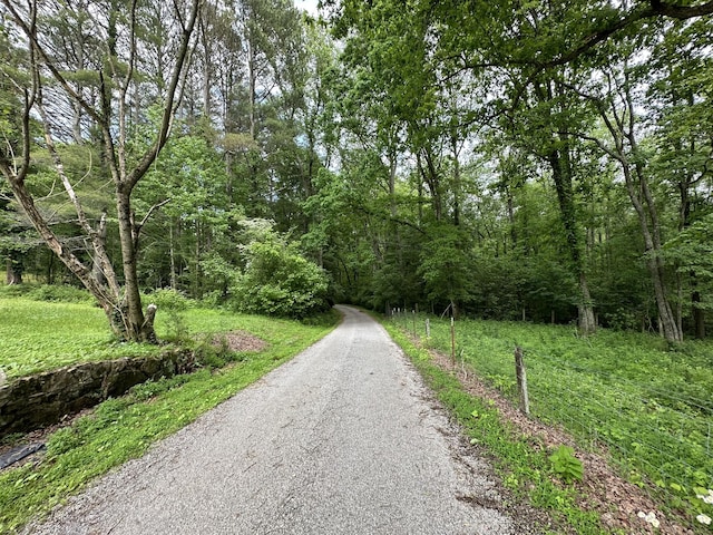379 Thompson Ln, Tracy City, TN 37387 - view of road featuring a view of trees