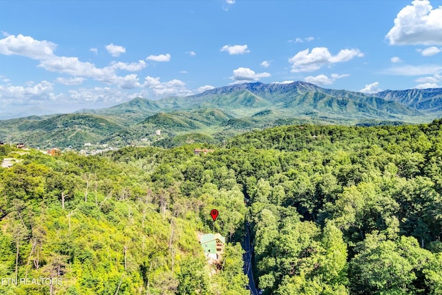 928 Ski Mountain Rd, Gatlinburg, TN 37738 - mountain view with a heavily wooded area