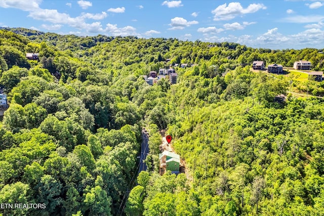 928 Ski Mountain Rd, Gatlinburg, TN 37738 - aerial view of a forest