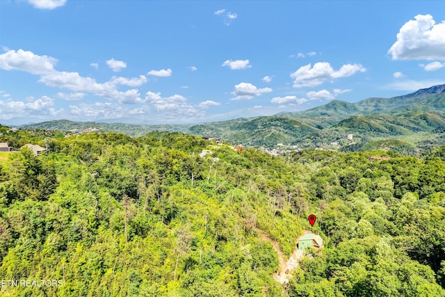 928 Ski Mountain Rd, Gatlinburg, TN 37738 - view of mountain background with a heavily wooded area