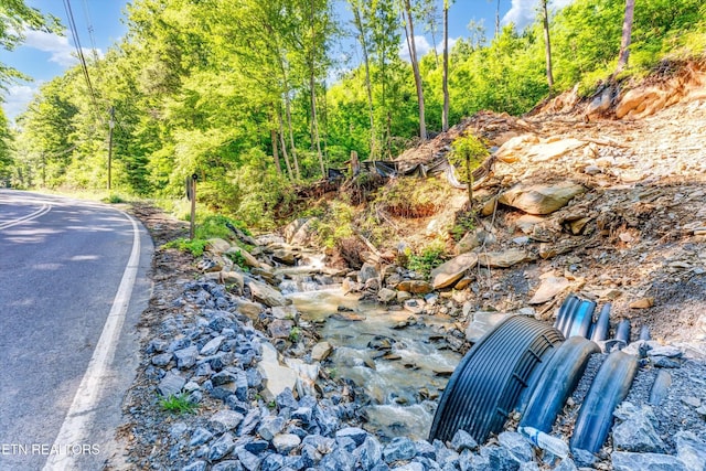 928 Ski Mountain Rd, Gatlinburg, TN 37738 - view of asphalt road