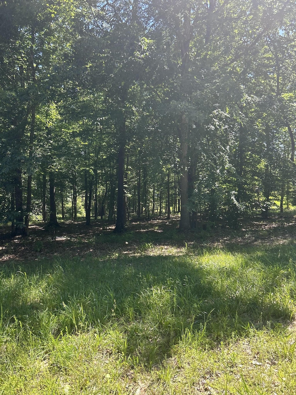 27 Sportsman Cv, Huntingdon, TN 38344 - photo 1