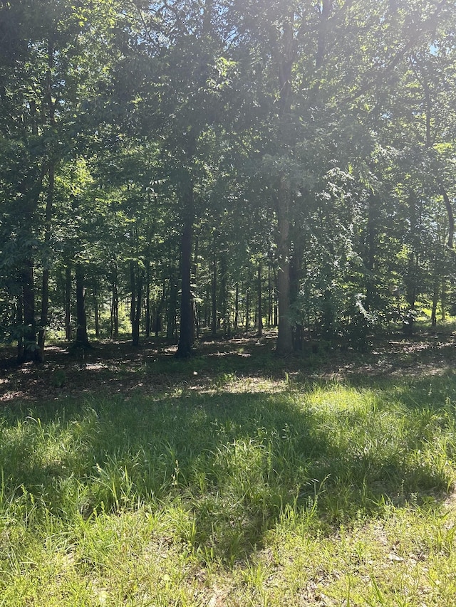 27 Sportsman Cv, Huntingdon, TN 38344 - photo 1
