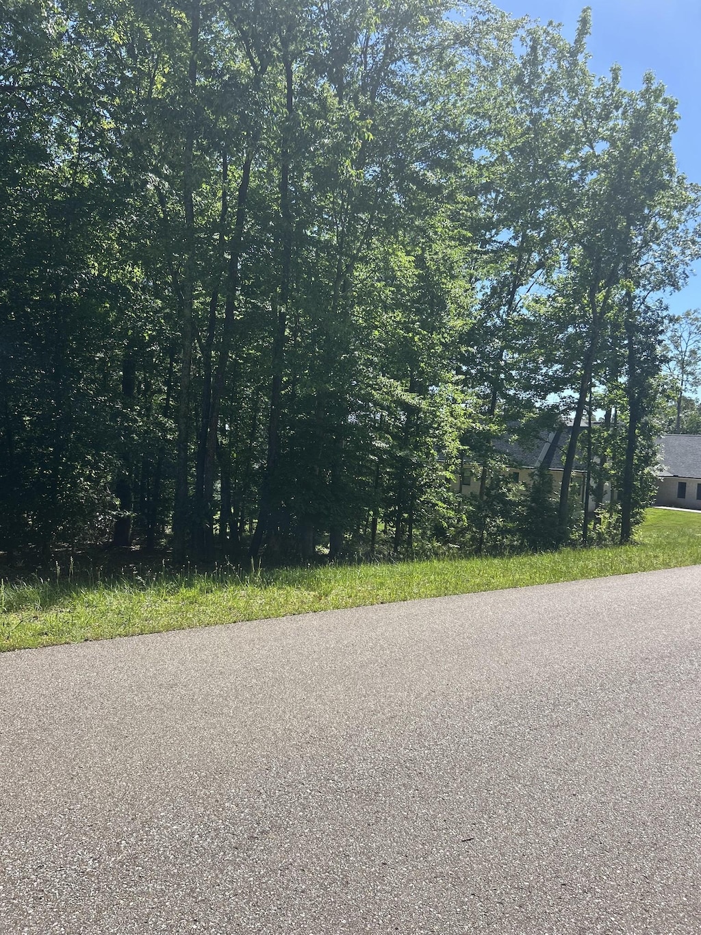 27 Sportsman Cv, Huntingdon, TN 38344 - photo 3