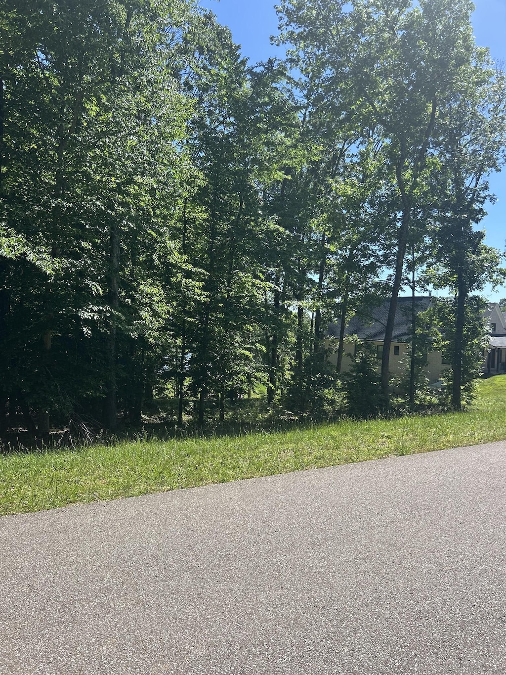 27 Sportsman Cv, Huntingdon, TN 38344 - photo 2