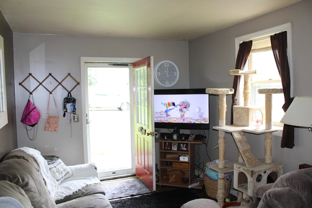 103 Franklin St, Mcminnville, TN 37110 - photo 31