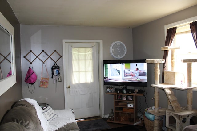 103 Franklin St, Mcminnville, TN 37110 - photo 30