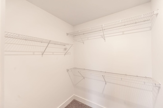 287 Cloverbrook Way, Gallatin, TN 37066 - view of spacious closet