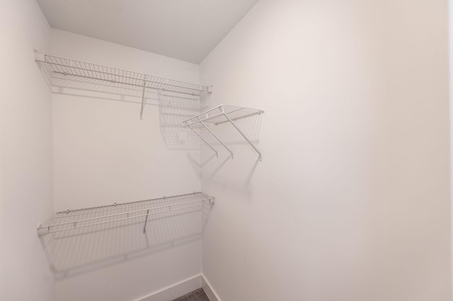 287 Cloverbrook Way, Gallatin, TN 37066 - view of walk in closet