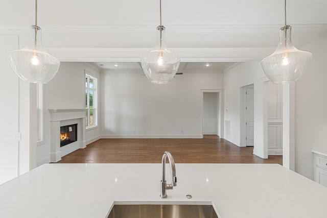 7100 Twelve Corners Rd, Lascassas, TN 37085 - kitchen with wood finished floors, light countertops, open floor plan, a glass covered fireplace, and a sink