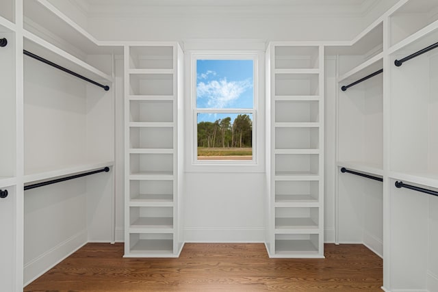 7100 Twelve Corners Rd, Lascassas, TN 37085 - walk in closet with wood finished floors