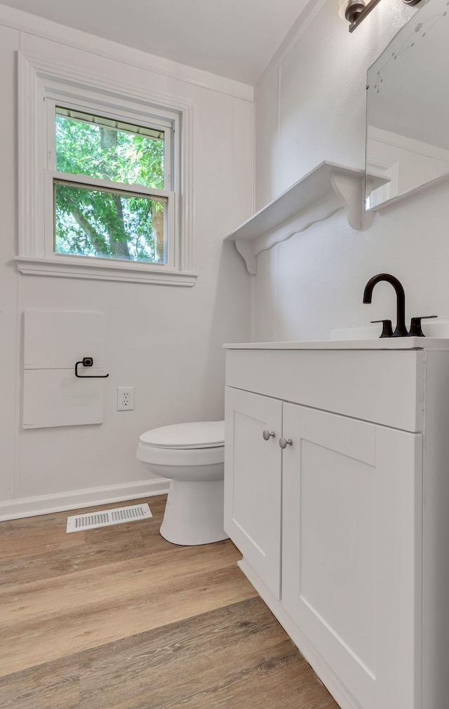 203 Summer St, Mount Pleasant, TN 38474 - bathroom featuring vanity, toilet, and wood finished floors