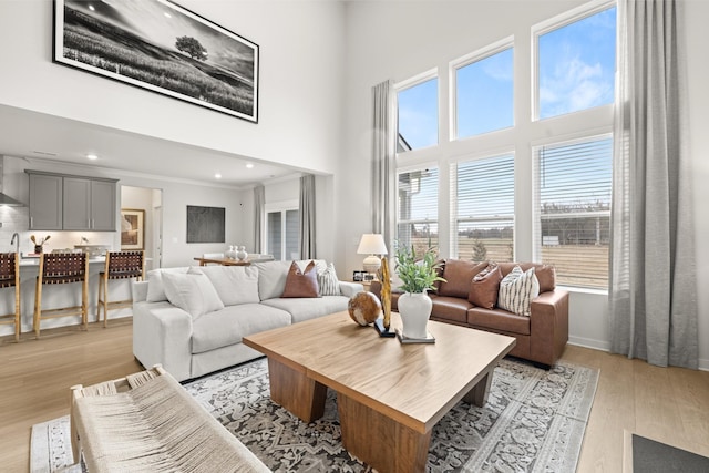4508 Cresto Loop, Murfreesboro, TN 37128 - living area featuring light wood-style flooring, healthy amount of natural light, a high ceiling, recessed lighting, and baseboards