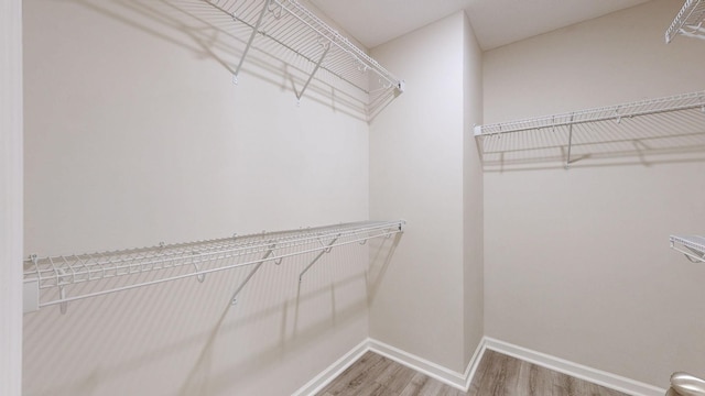 249 Edgefield Ct, Pleasant View, TN 37146 - walk in closet with wood finished floors
