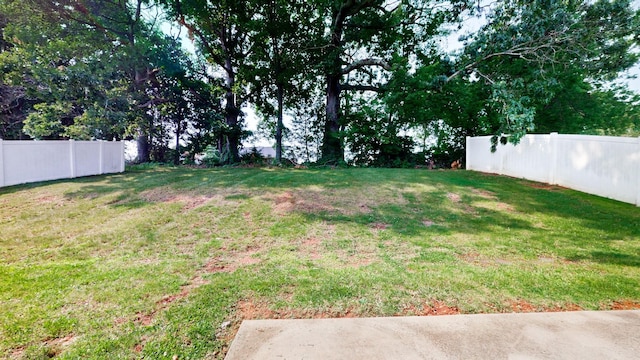 249 Edgefield Ct, Pleasant View, TN 37146 - view of yard