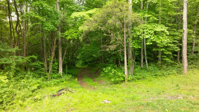 1040 Washington Dr, Cottontown, TN 37048 - photo 9