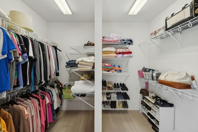 7579 Nightfall Cir, Ooltewah, TN 37363 - view of spacious closet