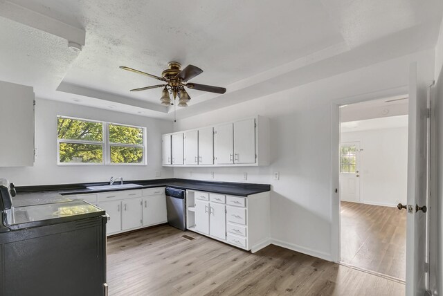 226 Higdon St, Lynnville, TN 38472 - kitchen featuring stainless steel dishwasher, a sink, a tray ceiling, dark countertops, and healthy amount of natural light