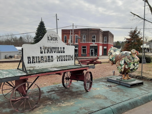 226 Higdon St, Lynnville, TN 38472 - view of property's community