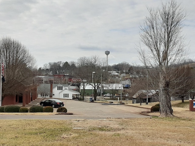 226 Higdon St, Lynnville, TN 38472 - view of asphalt road with curbs, a residential view, and street lighting