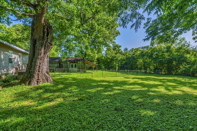 226 Higdon St, Lynnville, TN 38472 - view of yard