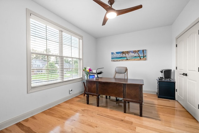 127 Copperstone Dr, Clarksville, TN 37043 - home office with a ceiling fan, light wood-style floors, and baseboards