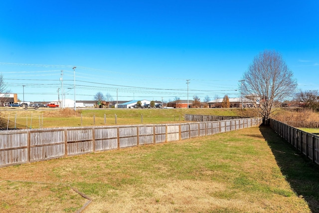 3889 Mackenzie Dr, Clarksville, TN 37042 - view of yard