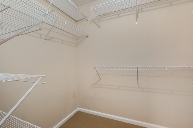 905 Arbor Springs Dr, Mount Juliet, TN 37122 - walk in closet with carpet flooring