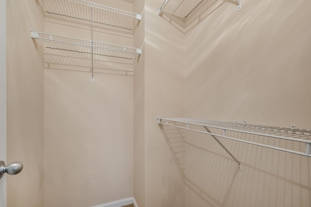905 Arbor Springs Dr, Mount Juliet, TN 37122 - view of spacious closet
